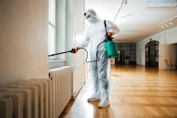 Emergency Pest Control in Loma Linda, CA